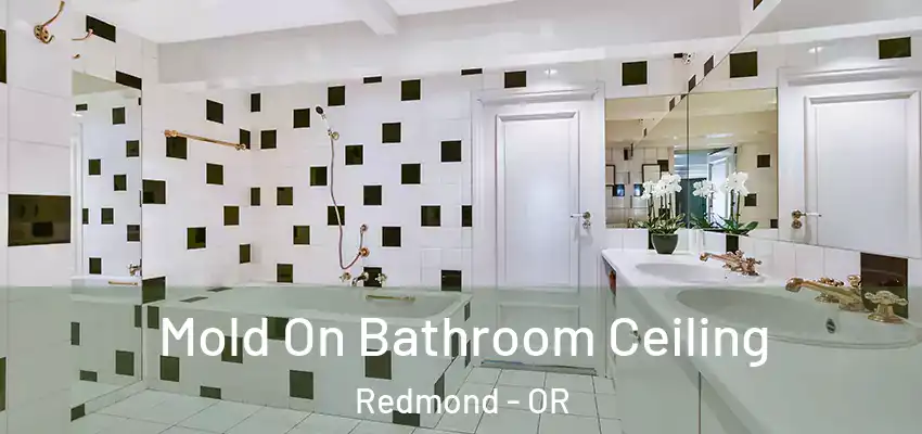  Mold On Bathroom Ceiling Redmond - OR