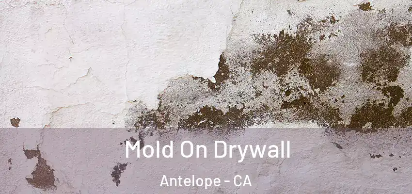  Mold On Drywall Antelope - CA