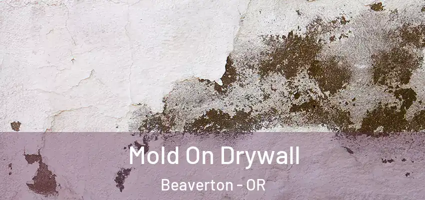  Mold On Drywall Beaverton - OR