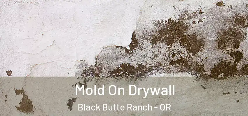  Mold On Drywall Black Butte Ranch - OR