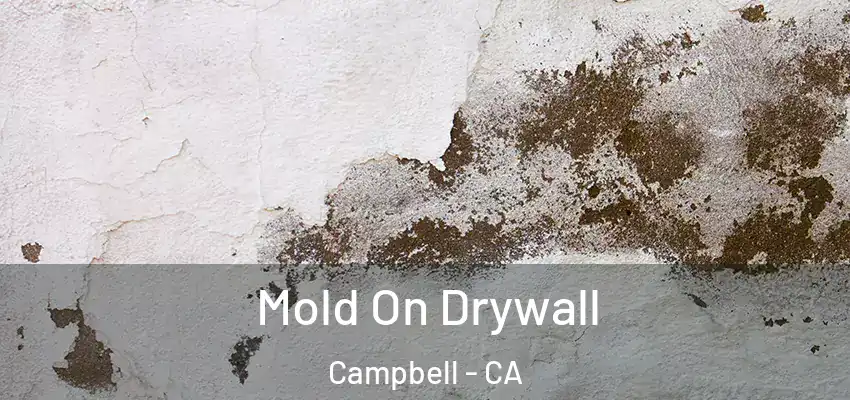  Mold On Drywall Campbell - CA