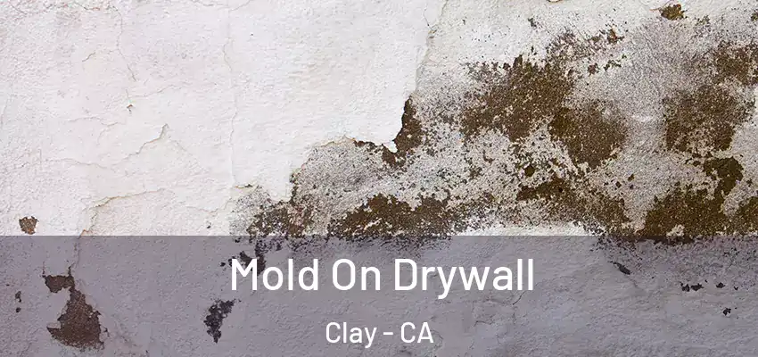  Mold On Drywall Clay - CA