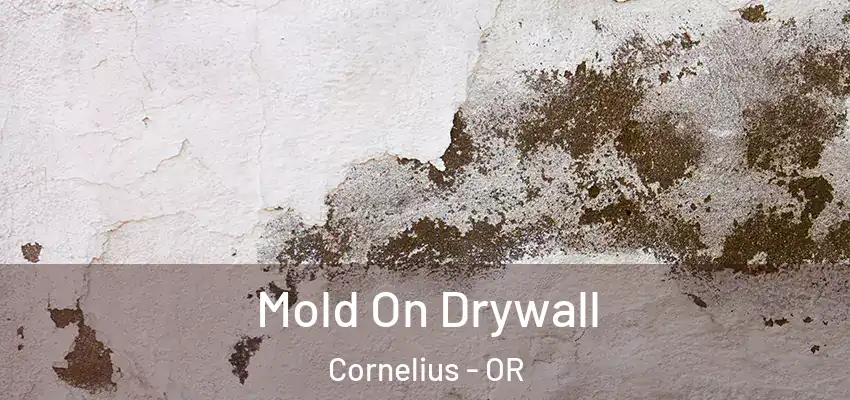  Mold On Drywall Cornelius - OR