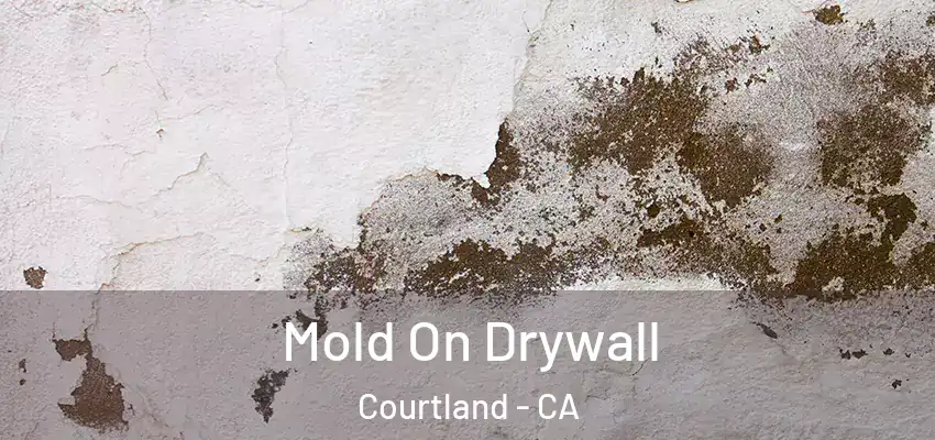 Mold On Drywall Courtland - CA