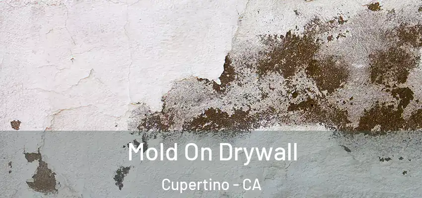  Mold On Drywall Cupertino - CA