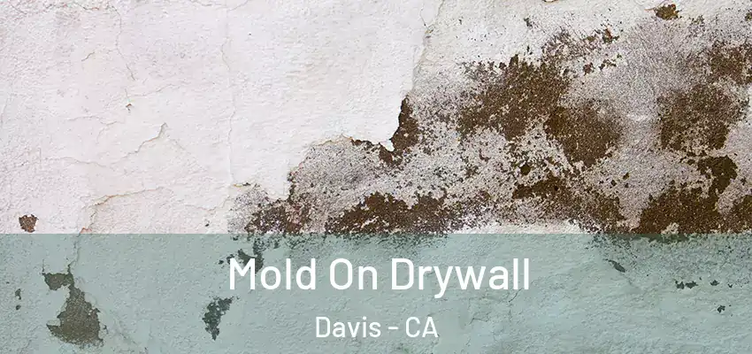  Mold On Drywall Davis - CA