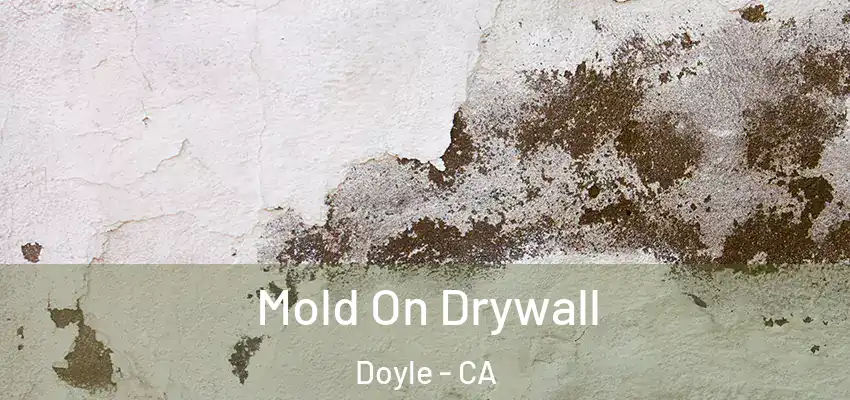  Mold On Drywall Doyle - CA