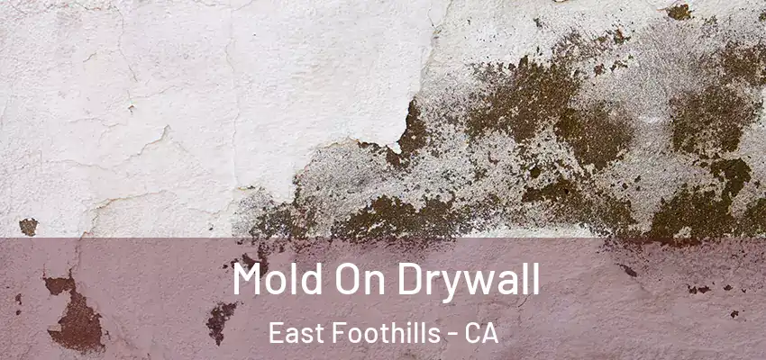  Mold On Drywall East Foothills - CA