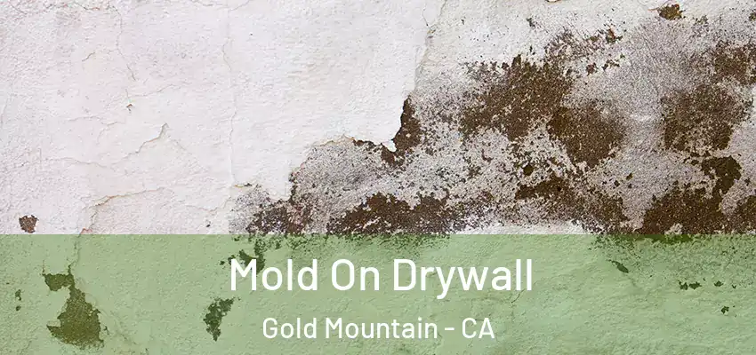  Mold On Drywall Gold Mountain - CA