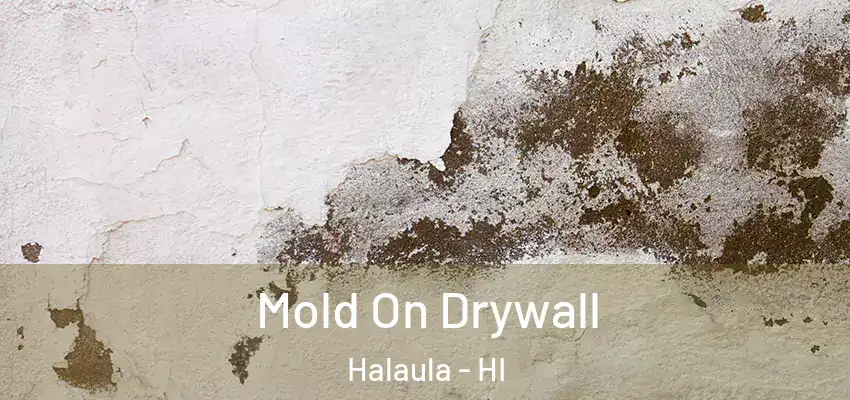  Mold On Drywall Halaula - HI