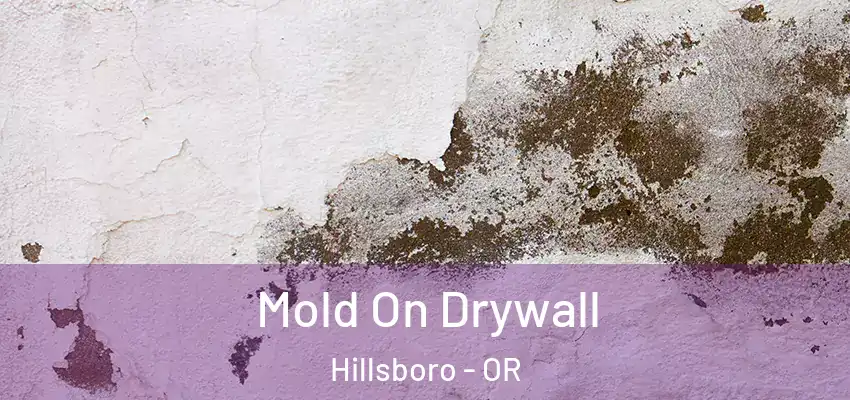 Mold On Drywall Hillsboro - OR