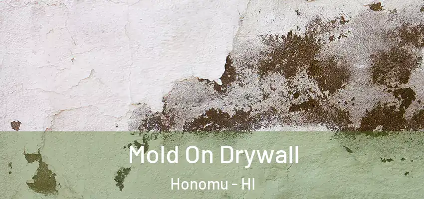 Mold On Drywall Honomu - HI