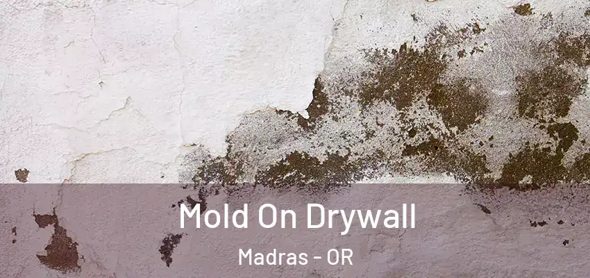  Mold On Drywall Madras - OR