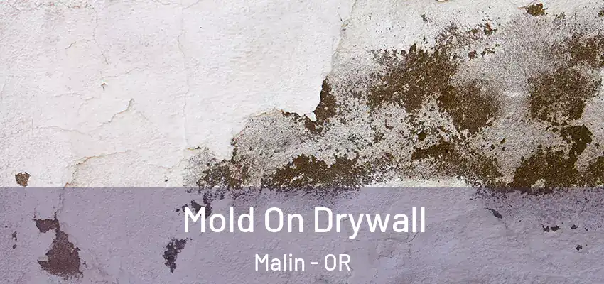  Mold On Drywall Malin - OR