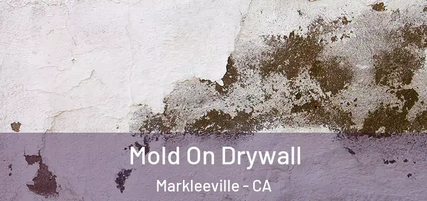  Mold On Drywall Markleeville - CA