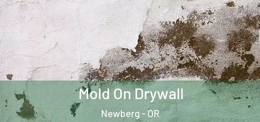  Mold On Drywall Newberg - OR