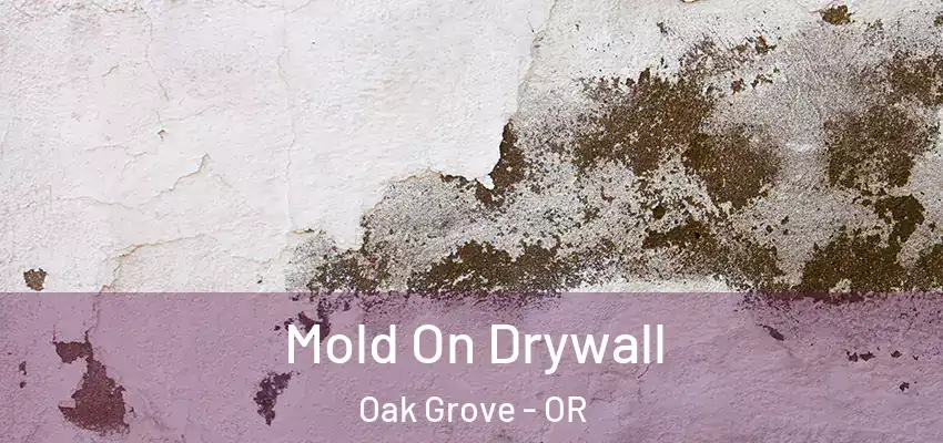  Mold On Drywall Oak Grove - OR