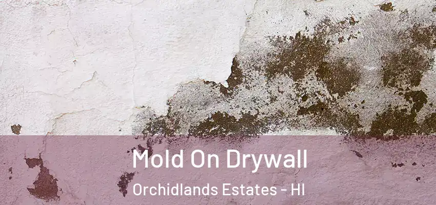  Mold On Drywall Orchidlands Estates - HI