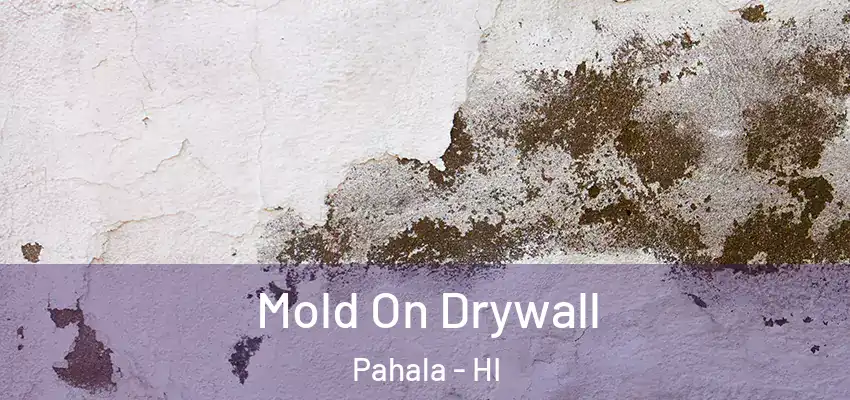  Mold On Drywall Pahala - HI