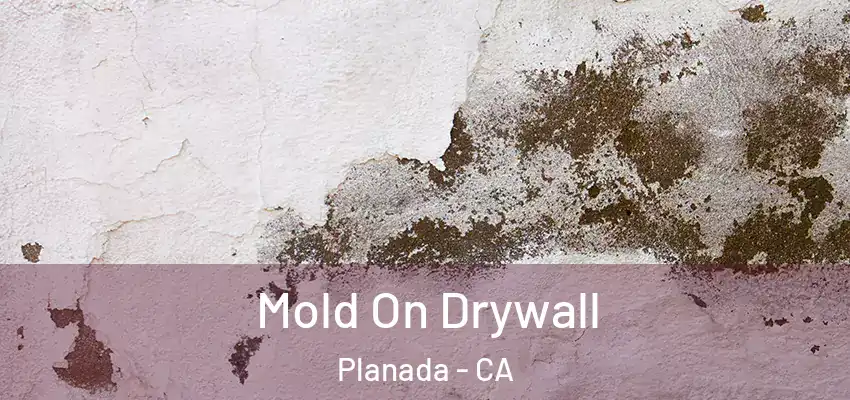  Mold On Drywall Planada - CA