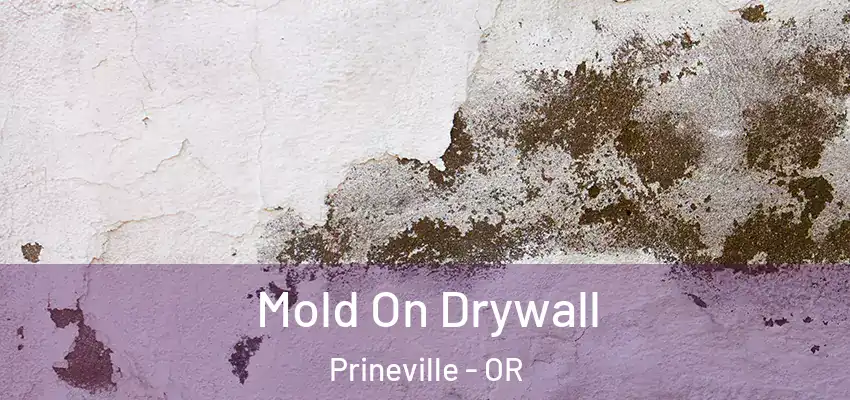  Mold On Drywall Prineville - OR