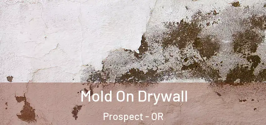  Mold On Drywall Prospect - OR