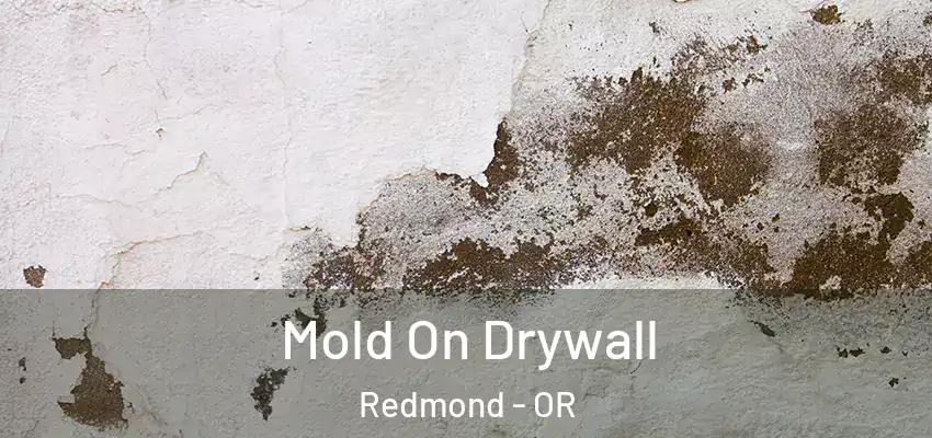  Mold On Drywall Redmond - OR