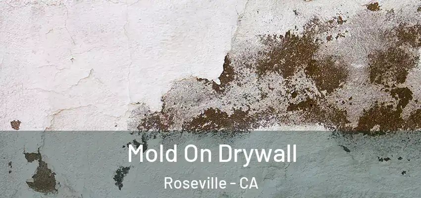  Mold On Drywall Roseville - CA