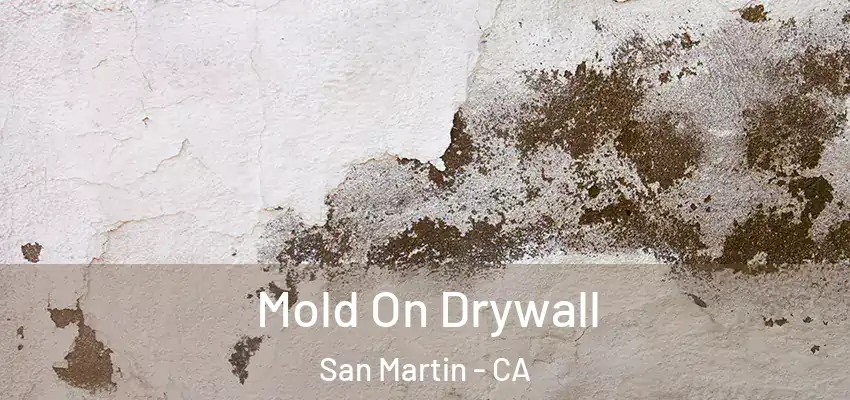 Mold On Drywall San Martin - CA