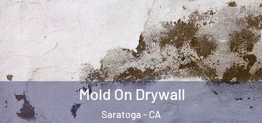  Mold On Drywall Saratoga - CA