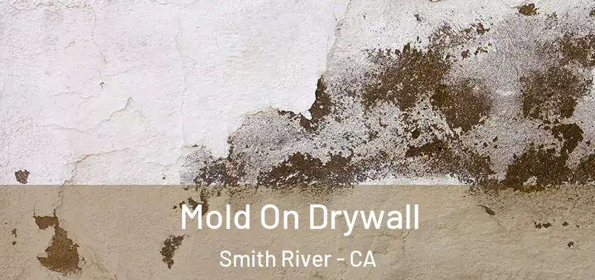  Mold On Drywall Smith River - CA