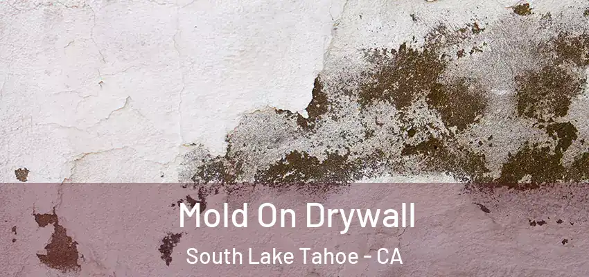  Mold On Drywall South Lake Tahoe - CA