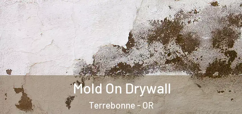 Mold On Drywall Terrebonne - OR