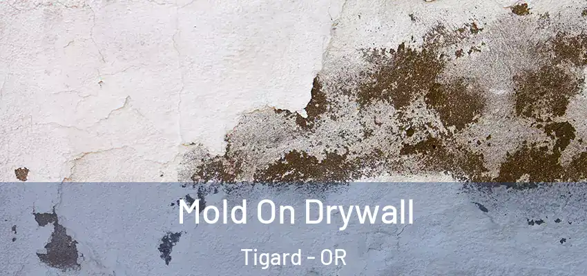  Mold On Drywall Tigard - OR