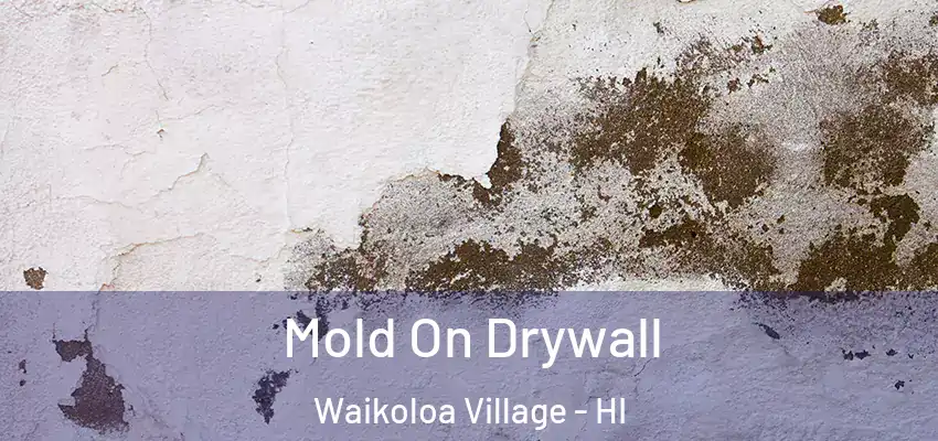  Mold On Drywall Waikoloa Village - HI