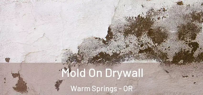  Mold On Drywall Warm Springs - OR