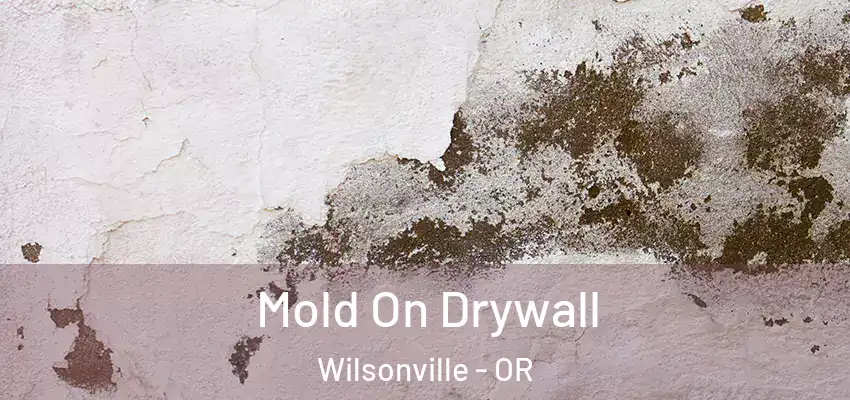  Mold On Drywall Wilsonville - OR