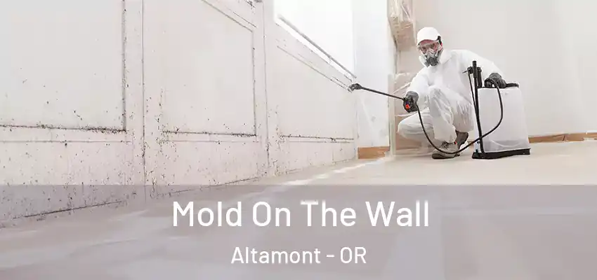 Mold On The Wall Altamont - OR