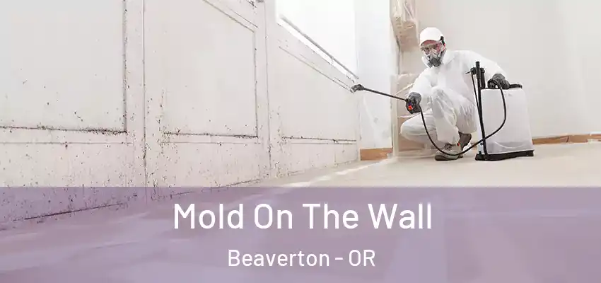  Mold On The Wall Beaverton - OR
