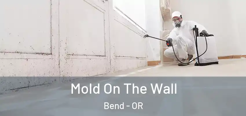  Mold On The Wall Bend - OR
