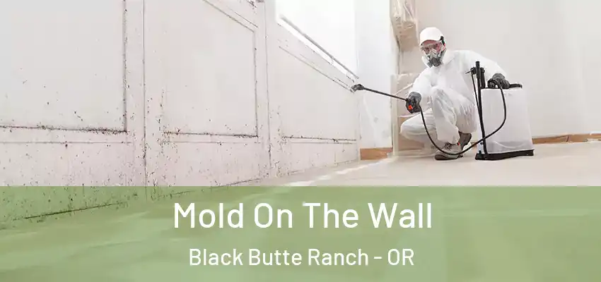  Mold On The Wall Black Butte Ranch - OR