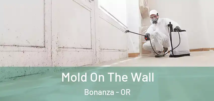  Mold On The Wall Bonanza - OR