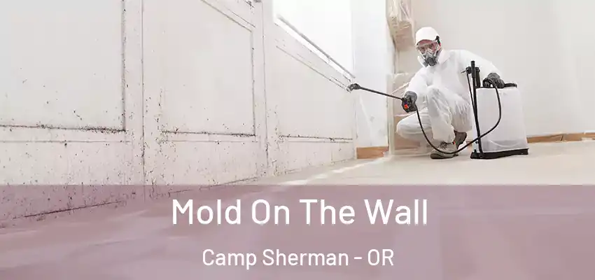  Mold On The Wall Camp Sherman - OR