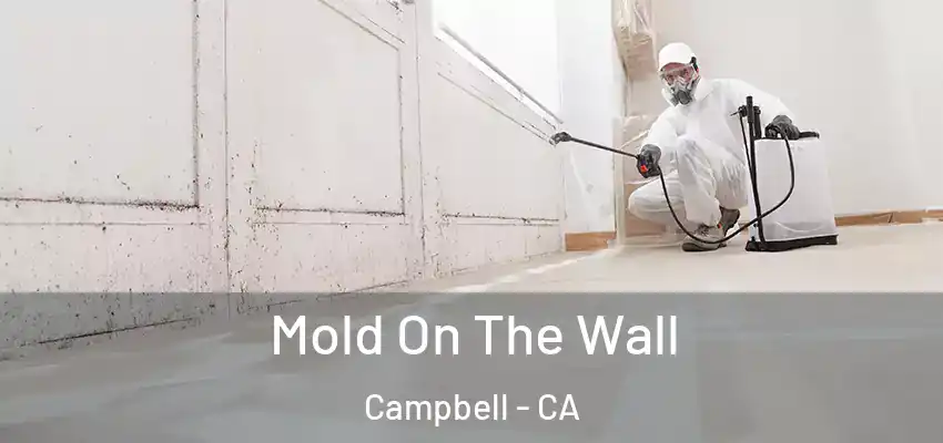  Mold On The Wall Campbell - CA