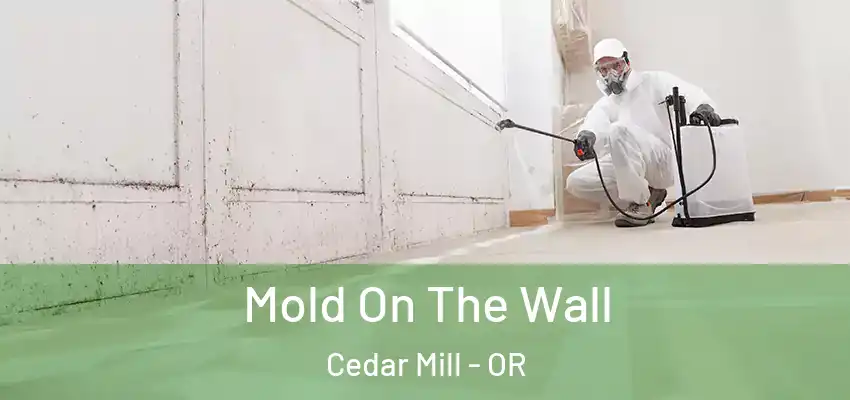  Mold On The Wall Cedar Mill - OR