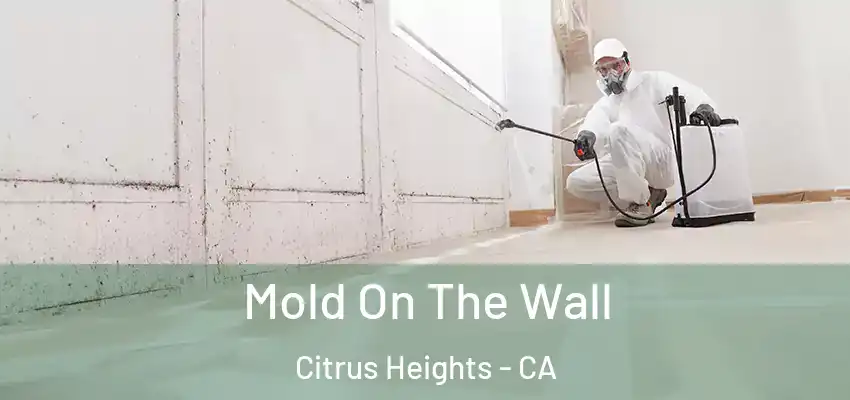  Mold On The Wall Citrus Heights - CA