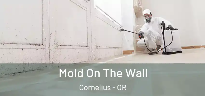  Mold On The Wall Cornelius - OR