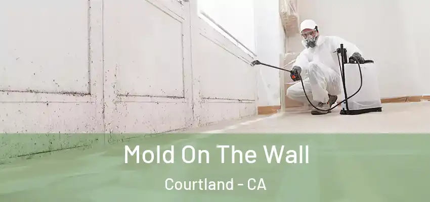  Mold On The Wall Courtland - CA