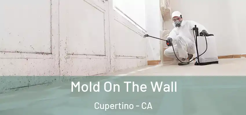 Mold On The Wall Cupertino - CA