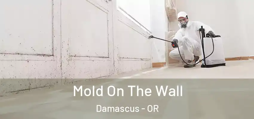  Mold On The Wall Damascus - OR